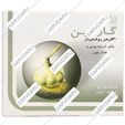 گارسین 300 میلی گرمی