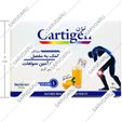 کارتیژن ساشه