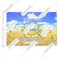 پودر جوانه گندم طوبی
